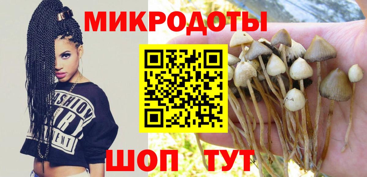 Лесной  Псилоцибиновые грибы мухоморы  Вход с VPN 